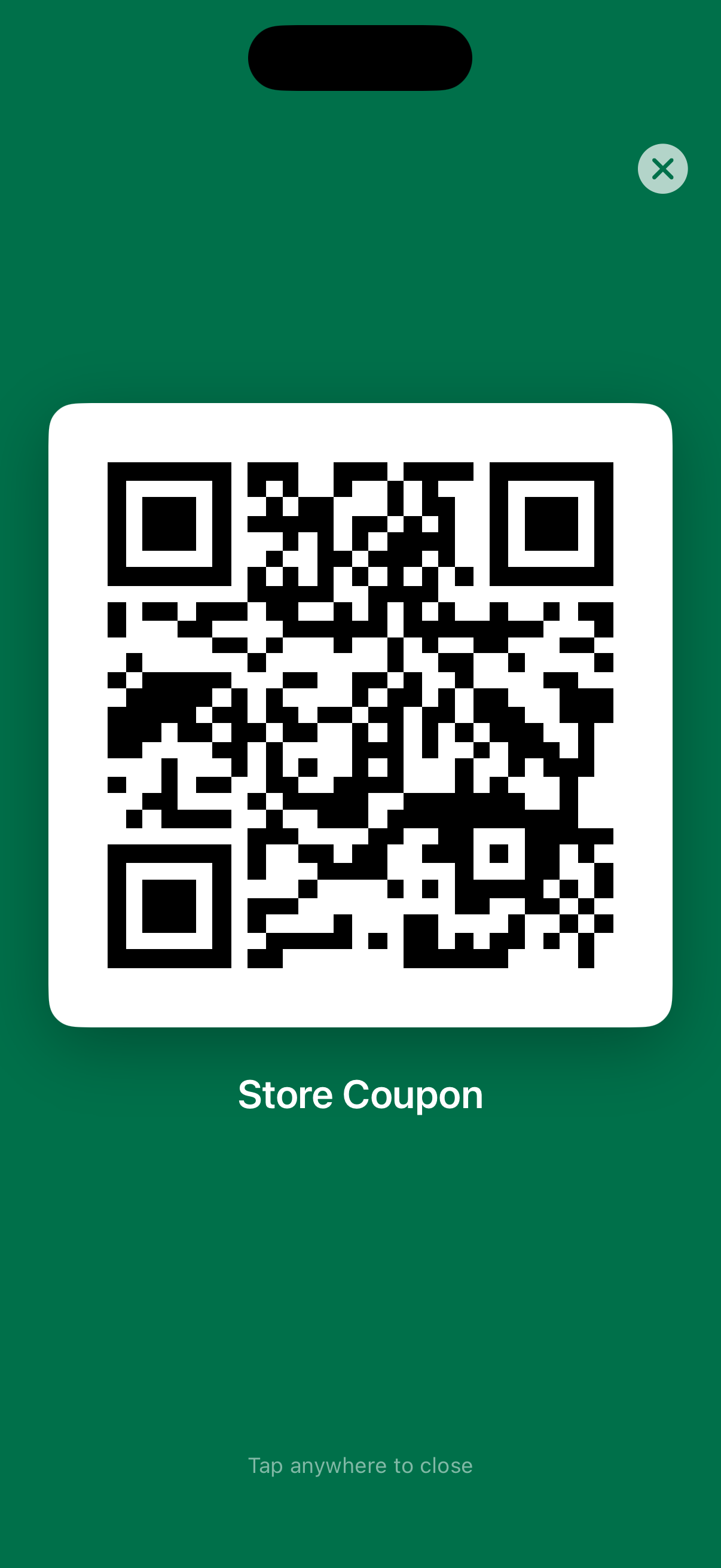 Full-screen QR code display ready for scanning at checkout